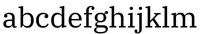 IBM Plex Serif Font LOWERCASE