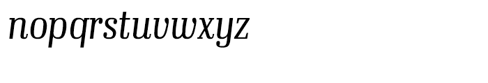 Ibis Display Condensed Extra Light Italic Font LOWERCASE