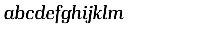 Ibis Display Regular Italic Font LOWERCASE
