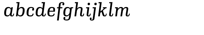 Ibis Text Light Italic Font LOWERCASE