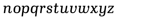 Ibis Text Light Italic Font LOWERCASE