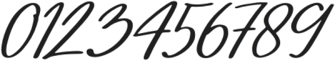 Identic Partner Script Italic otf (400) Font OTHER CHARS