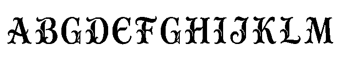 Imago Regular FONT