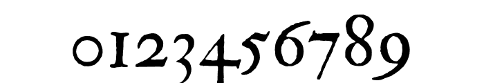 IM_FELL_Double_Pica_PRO_Italic Font OTHER CHARS