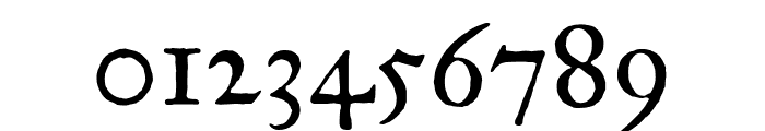 IM_FELL_Great_Primer_PRO_Roman Font OTHER CHARS