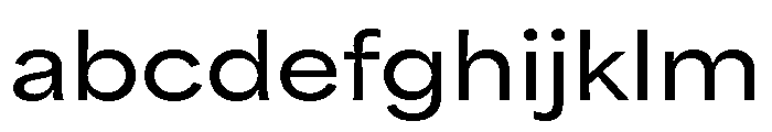 Indoor Kid Variable Bold FONT