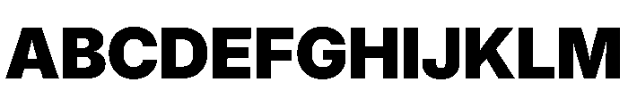 Inter 18pt Black Font UPPERCASE