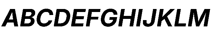 Inter 18pt Bold Italic Font UPPERCASE