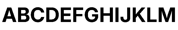Inter 18pt Bold Font UPPERCASE