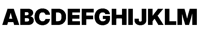 Inter 24pt Black Font UPPERCASE