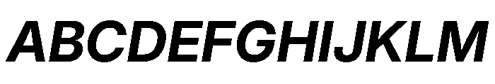Inter 24pt Bold Italic Font UPPERCASE