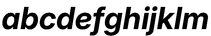 Inter 24pt Bold Italic FONT