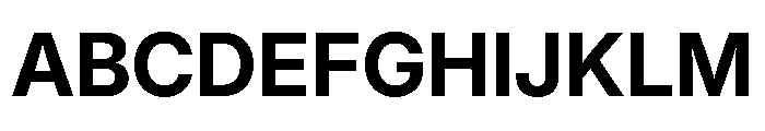 Inter 24pt Bold Font UPPERCASE