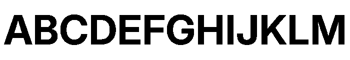 Inter 28pt Bold Font UPPERCASE