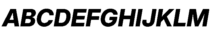 Inter 28pt ExtraBold Italic Font UPPERCASE