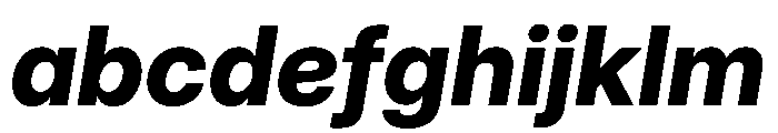 Inter 28pt ExtraBold Italic FONT