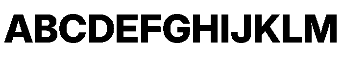 Inter 28pt ExtraBold Font UPPERCASE