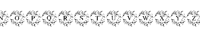 Infinity Bloom Monogram Font LOWERCASE