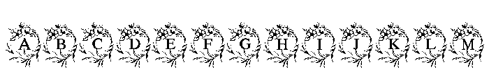 Infinity Wedding Font UPPERCASE