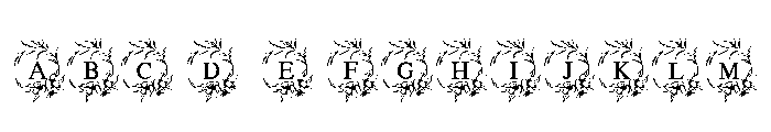 Infinity Wedding FONT