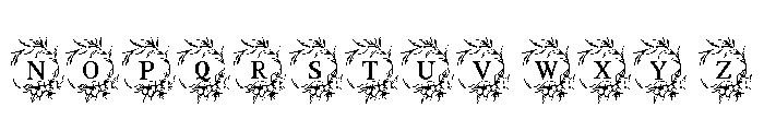 Infinity Wedding Font LOWERCASE