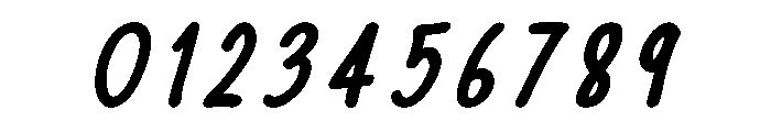 InkSlim Bold Italic Font OTHER CHARS