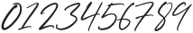 InsignaSignature-Regular otf (400) Font OTHER CHARS