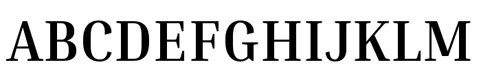 Inria Serif Bold Font UPPERCASE