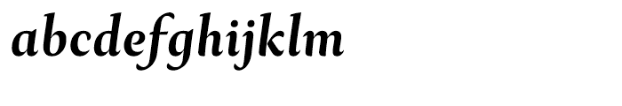 Ines Medium Italic Font LOWERCASE