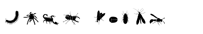 Insects Regular Font OTHER CHARS