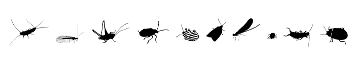 Insects Regular Font UPPERCASE