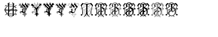 Intellecta Monograms Soft YAZT Font LOWERCASE