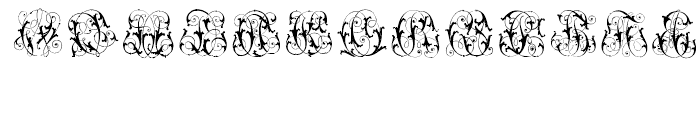 Intellecta Monograms Special Series AECZ Regular Font LOWERCASE
