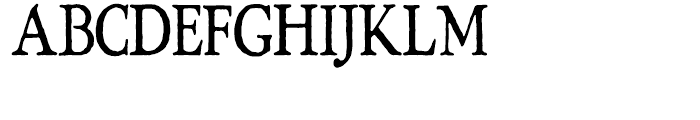 Intellecta Roman Tall Font UPPERCASE