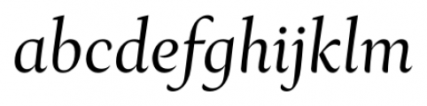 Ines Light Italic Font LOWERCASE