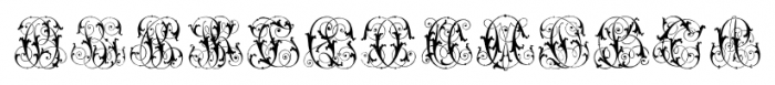 Intellecta Monogram Special Series AECZ Regular Font LOWERCASE