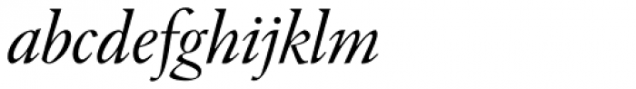 Indigo D Italic Font LOWERCASE