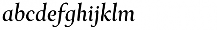 Ines Book Italic Font LOWERCASE