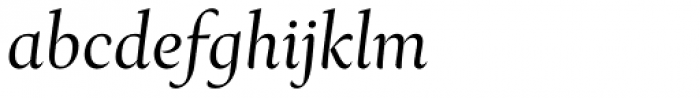 Ines Light Italic Font LOWERCASE