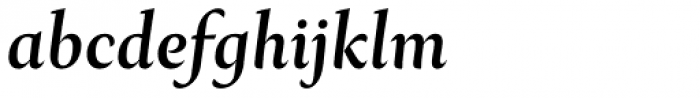 Ines Roman Italic Font LOWERCASE