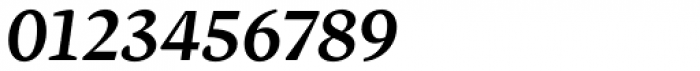 Inka B Text Medium Italic Font OTHER CHARS