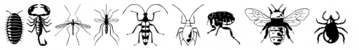 Insectile Font OTHER CHARS