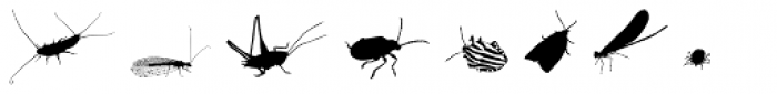 Insects Font UPPERCASE