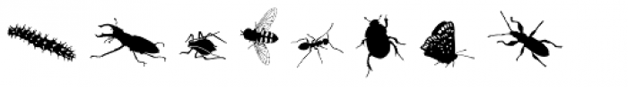 Insects Font LOWERCASE