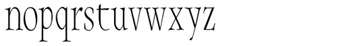 Integrity JY Lining Roman Font LOWERCASE