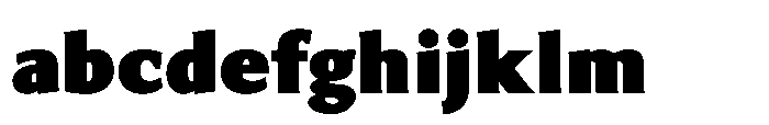 Intrinseca Max FONT