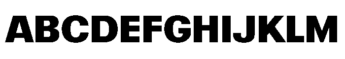 Information Bold Font UPPERCASE