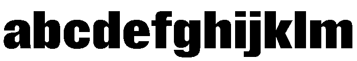 Insitu Black FONT