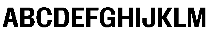Insitu Bold Font UPPERCASE