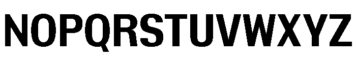 Insitu Bold Font UPPERCASE
